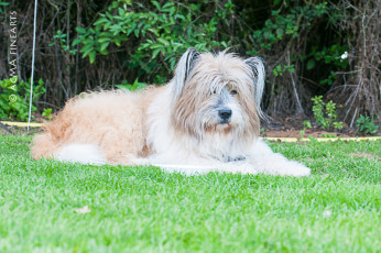 clubmeisterschaft-tag-1-dsc_0819_800