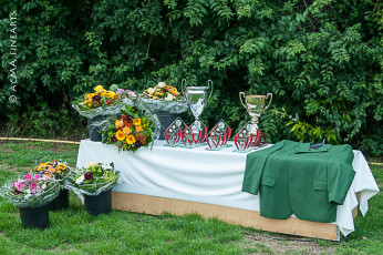 clubmeisterschaft-tag-2-dsc_1459_800